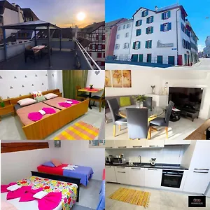 City Apartments Basel Basileia